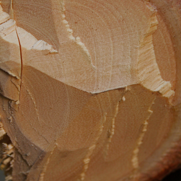 SANDAL WOOD – Ulei Esențial Lemnos și Liniștitor