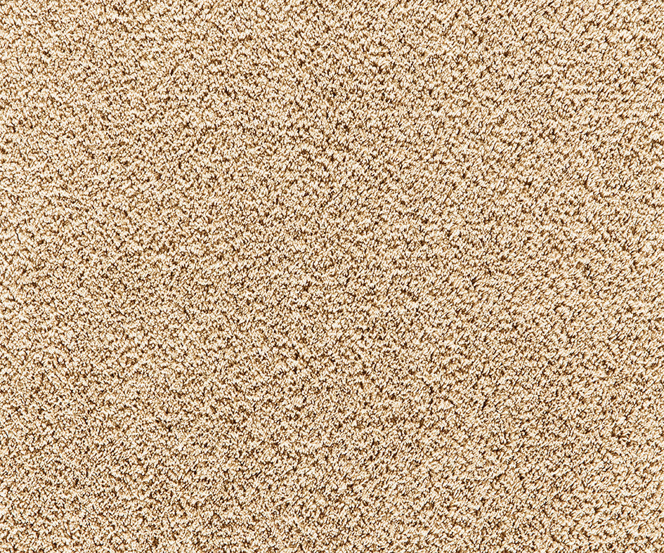 Mochetă Premium Cashmere Velvet