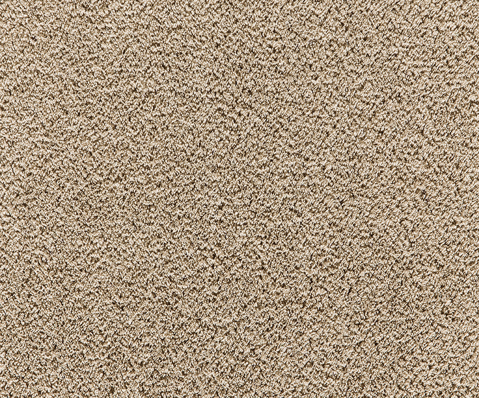Mochetă Premium Cashmere Velvet