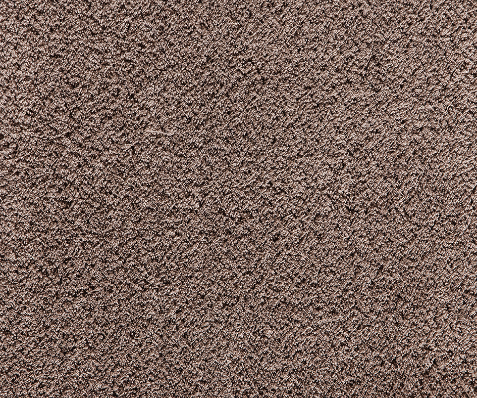 Mochetă Premium Cashmere Velvet