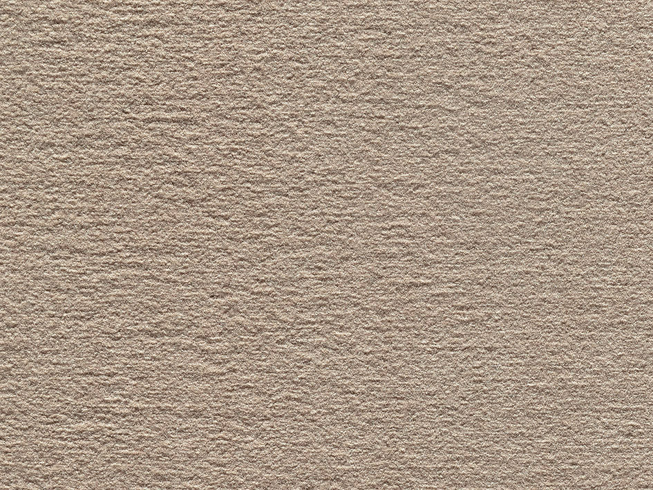 Mochetă interior la metru beige Premium Audrey