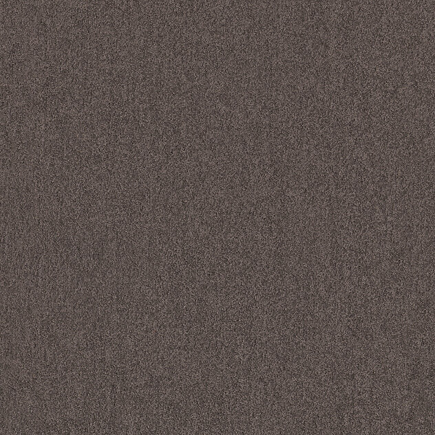Mochetă Premium Cashmere- Flair