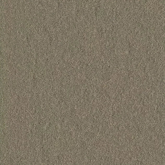 Mochetă Modulară Premium Autoadezivă Chiffon Pearl MO 25x100 cm