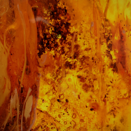 ORIENTAL AMBER – Ulei Esențial cu Note Calde, Orientale și Rafinate