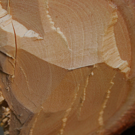 SANDAL WOOD – Ulei Esențial Lemnos și Liniștitor