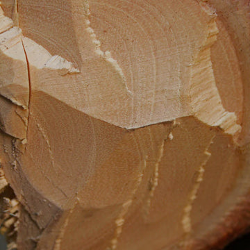 Essential Oil for Scent Diffuser – Sandal Wood